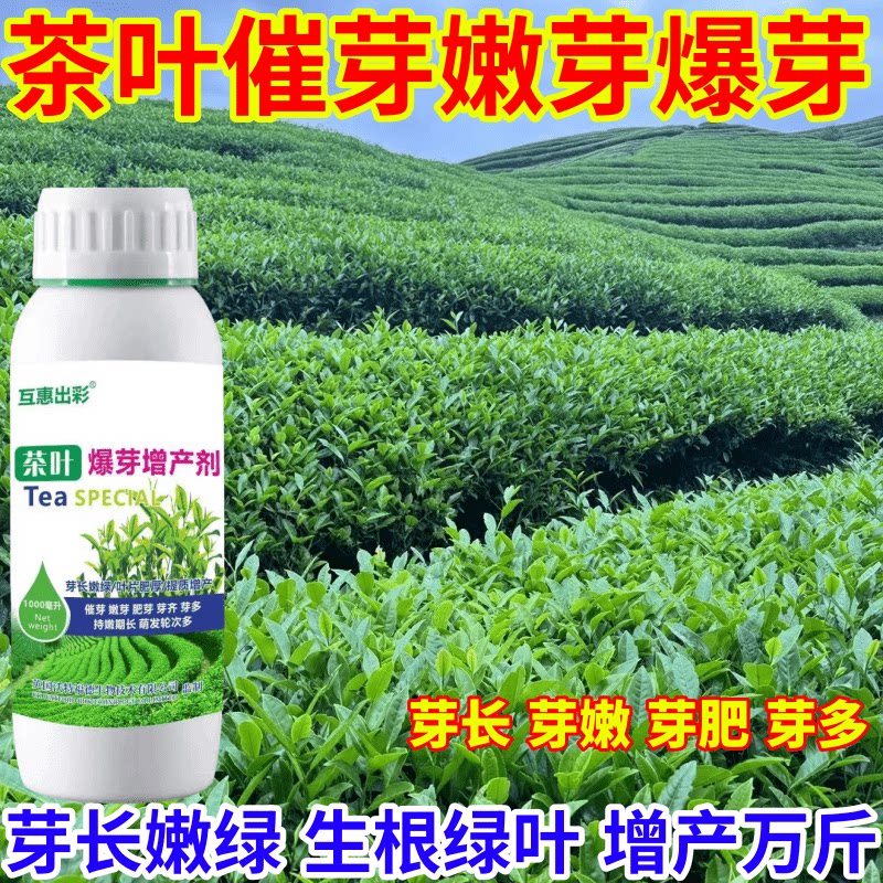 茶叶催芽嫩芽爆芽用肥茶叶催芽剂芽长嫩绿抗寒提前出芽芽多壮