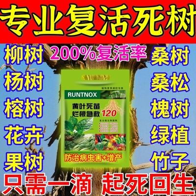 专业复活死树【死树当天活】植物营养液大树移栽烂根强力枯树生长