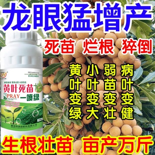 龙眼猛增产猝倒根腐弱苗枯萎黄叶死苗一喷就绿果树蔬菜花卉叶面肥