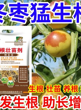 冬枣猛生根强力爆发生根抑制根腐生根壮苗养根果树蔬菜花卉叶面肥