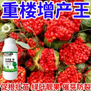 重楼增产王九千金钾保花保果产万斤催花爆芽壮苗绿叶生根叶面肥料