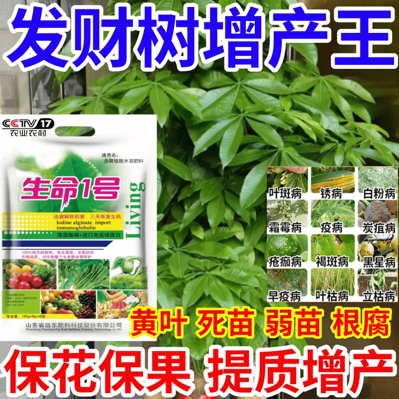 发财树增产王叶死苗僵苗烂根猝倒果树蔬菜花卉水溶叶面肥有机肥料