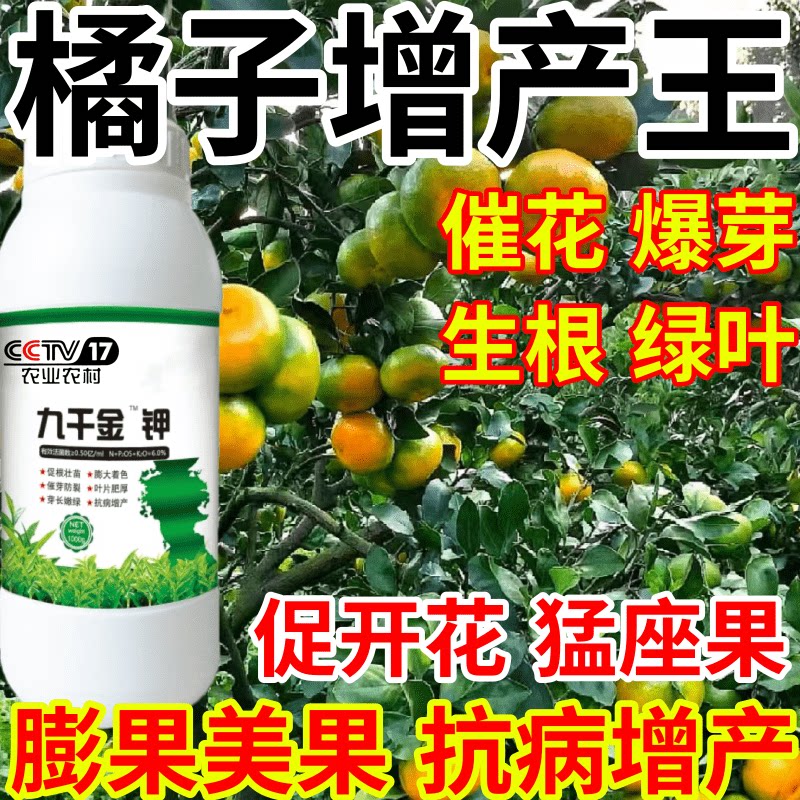 橘子增产王九千金果树蔬菜花卉保花保果促开花美果生根绿叶叶面肥