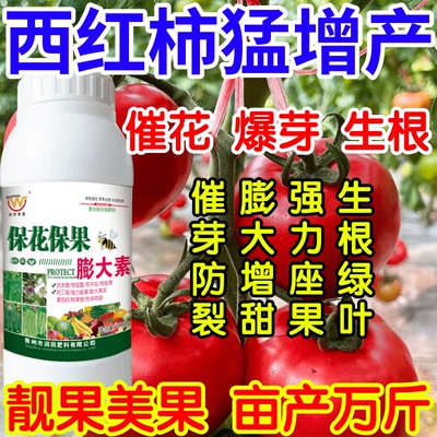 西红柿猛增产保果素蔬菜专用膨大剂水果增大剂防裂防落靓果叶面肥