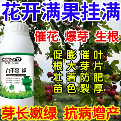 花开满果挂满花爆芽壮苗绿叶生根果树蔬菜花卉通用芽长嫩绿叶面肥