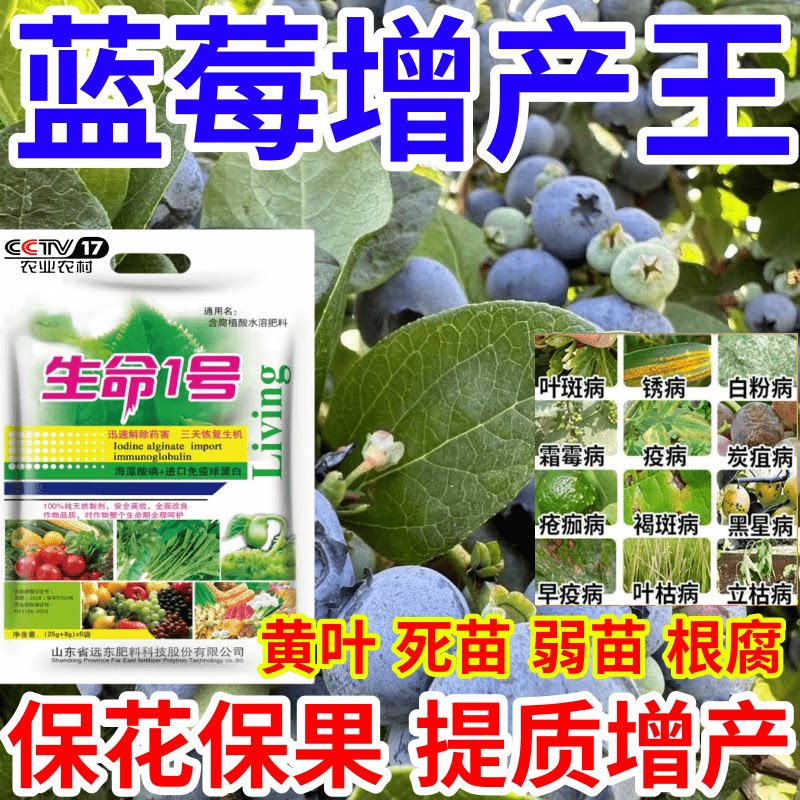 蓝莓增产王黄叶死苗僵苗烂根猝倒果树蔬菜花卉水溶叶面肥有机肥料