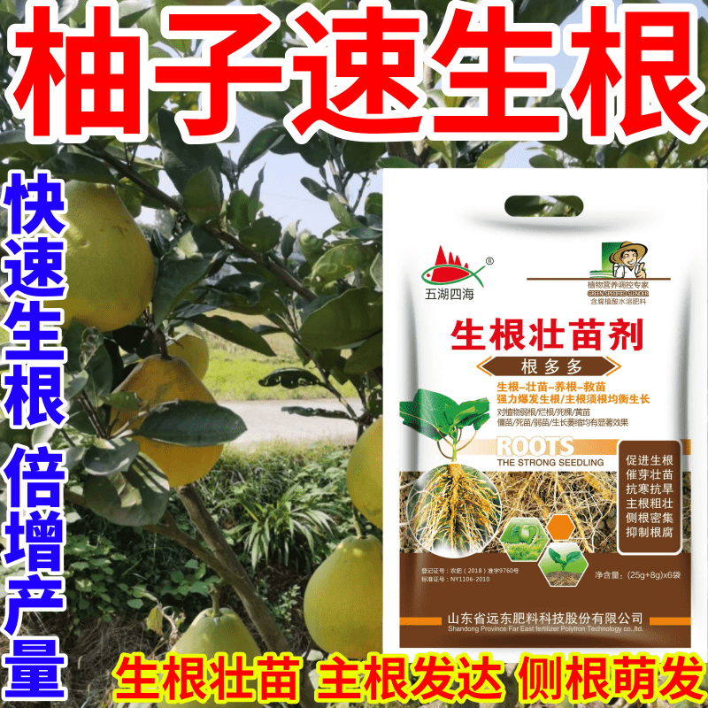 柚子速生根叶面肥扦插移栽猛生根原液腐殖酸水溶肥料育苗膨大根茎