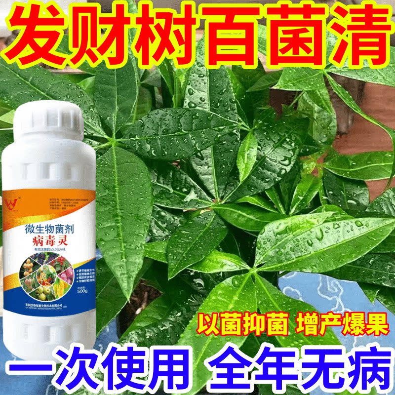 发财树百菌清树蔬菜花卉通用微生物菌剂叶面肥通治298种病毒病菌