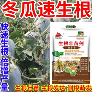 冬瓜速生根叶面肥扦插移栽猛生根原液腐殖酸水溶肥料育苗膨大根茎