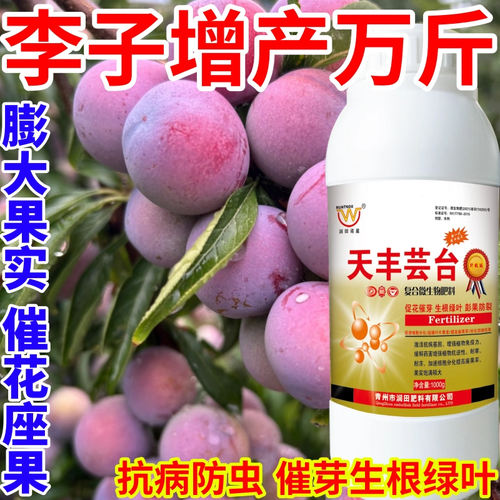 李子增产万斤芸苔内脂植物生长叶面肥保花果增产壮苗天丰芸苔素