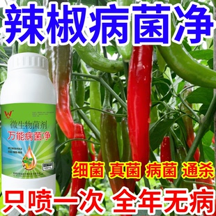 辣椒病菌净果树蔬菜花卉稻瘟病病毒白粉病灰霉病锈病病害清一喷清
