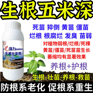 生根五米深强力生根养根护生根原液快速生根剂正品强力养根发根剂