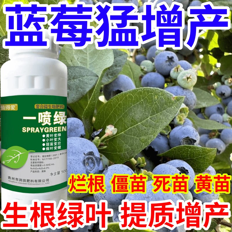 蓝莓猛增产果树蔬菜花卉通用一喷绿烂根僵苗复活液生根绿叶叶面肥