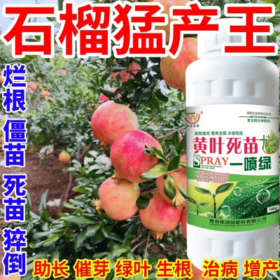 石榴猛产王喷绿变绿保花保果蔬菜花卉果树植物小叶黄叶卷叶叶面肥