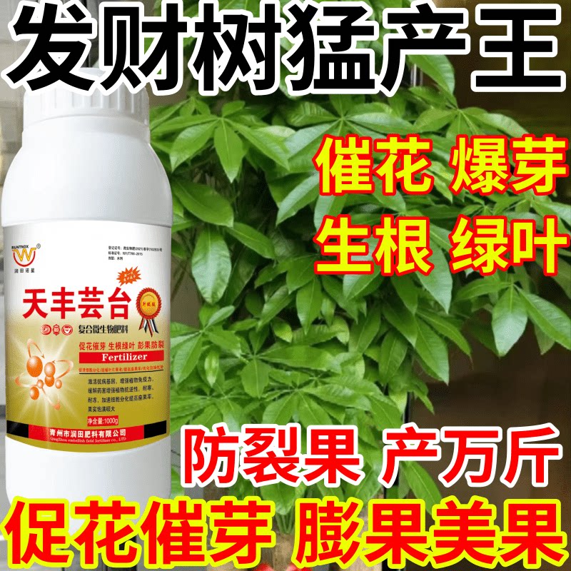 发财树猛产王花保果催芽增产增收爆芽果树蔬菜花卉天丰芸苔叶面肥