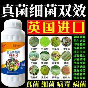 真菌细菌双效灵果树蔬菜花卉杀菌剂锈病炭疽病叶斑病霜霉病叶斑病