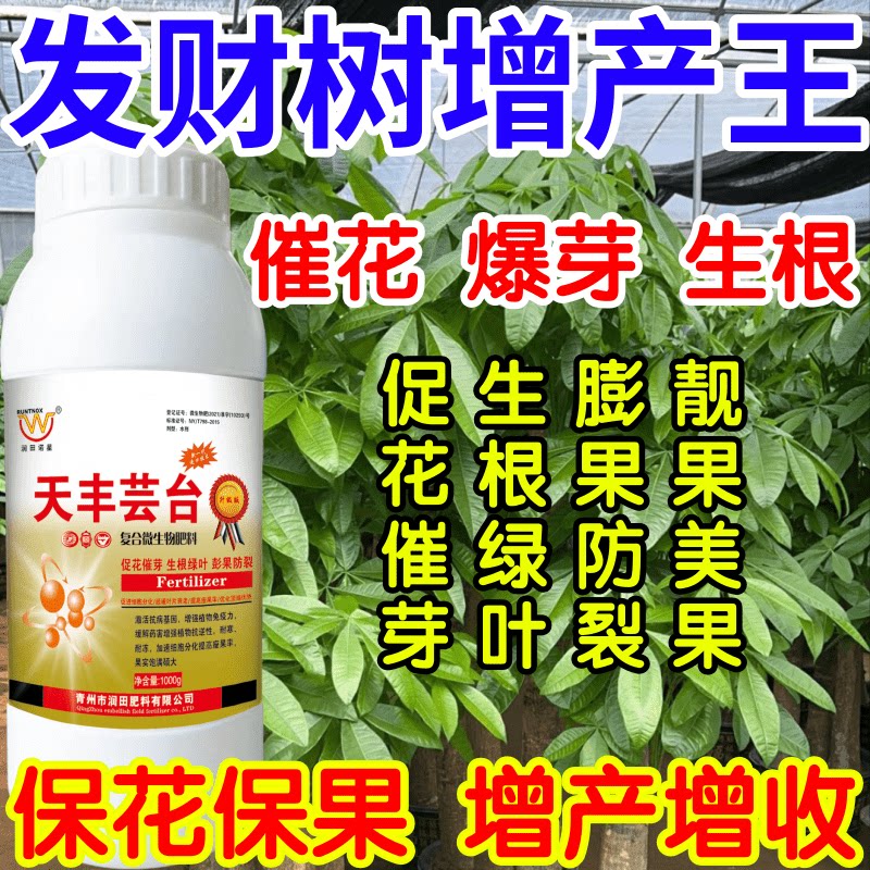 发财树增产王花保果催芽增产增收爆芽生长调节果树蔬菜花卉叶面肥