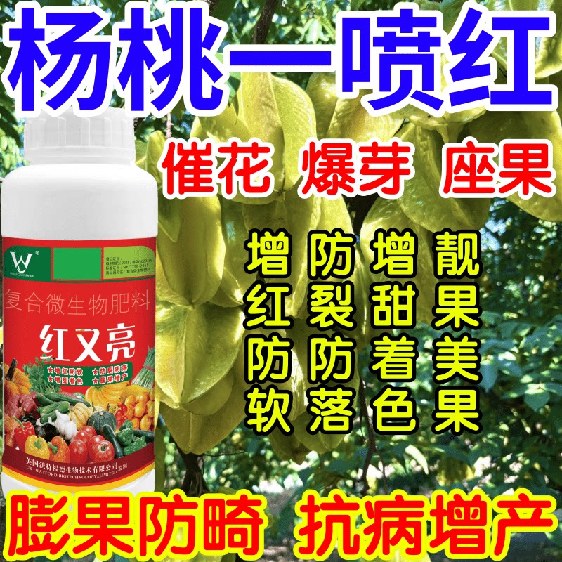 杨桃一喷红各种水果叶面肥膨大增甜防软水果专用催红剂膨果防畸形