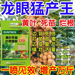 龙眼猛产王黄叶变绿小叶变弱苗变壮治病增产叶面肥料果树蔬菜花卉