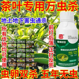 茶叶专用万虫杀蛛螨蚜虫果树蔬菜花卉通用助剂生物溶解剂杀虫杀卵