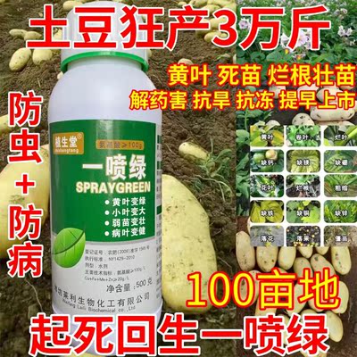 土豆专用黄叶死苗烂根一喷绿防虫防病助长增产微量元素水溶肥农药