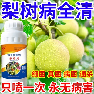 梨树病全清菌速效万能病菌净微生物菌剂肥料专治所有病菌作物通用