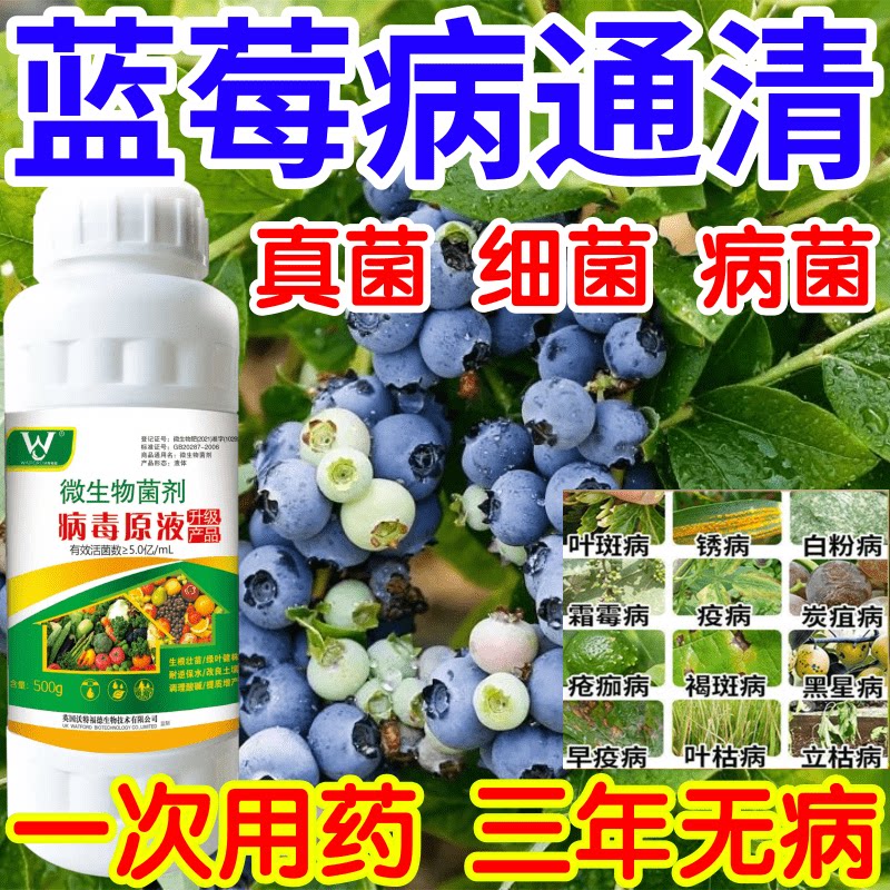 蓝莓病通清黑星病立枯病疫病锈病果树蔬菜花卉生根壮苗增产杀菌剂