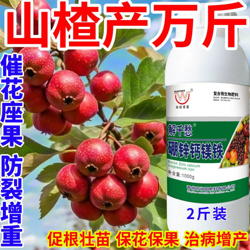 山楂产万斤钙镁硼锌铁绿叶靓果膨果多果美果提质丰产促花促果作物