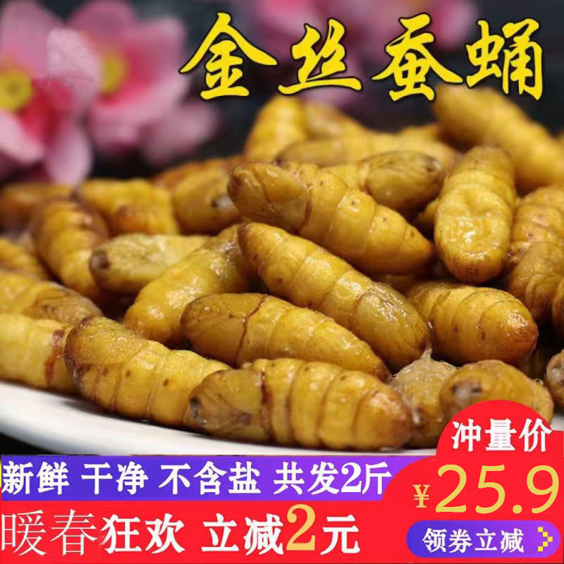 山东特产农家金丝蚕蛹鲜活速冻