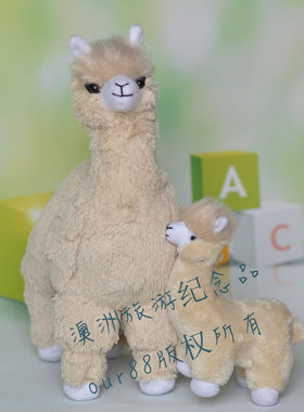 包邮澳大利亚羊驼毛绒玩具公仔