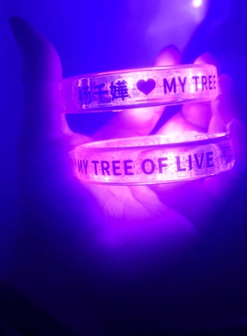 杨千嬅应援手环 同款紫色荧光棒led发光手环演唱会明星周边定制款