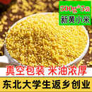 东北黄小米500g油糯醇香应季 农家自产米油丰富小米粥 新米真空包装