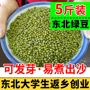 东北绿豆农家自产新鲜5斤五谷杂粮粗粮煮粥发豆芽专用散装 豆子