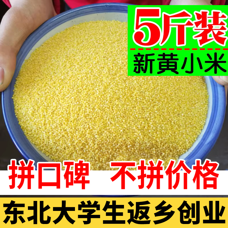 东北黄小米农家自产新鲜小黄米5斤装五谷杂粮黑龙江软糯香小米粥-封面