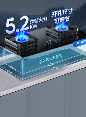 Vatti/华帝 i10306D