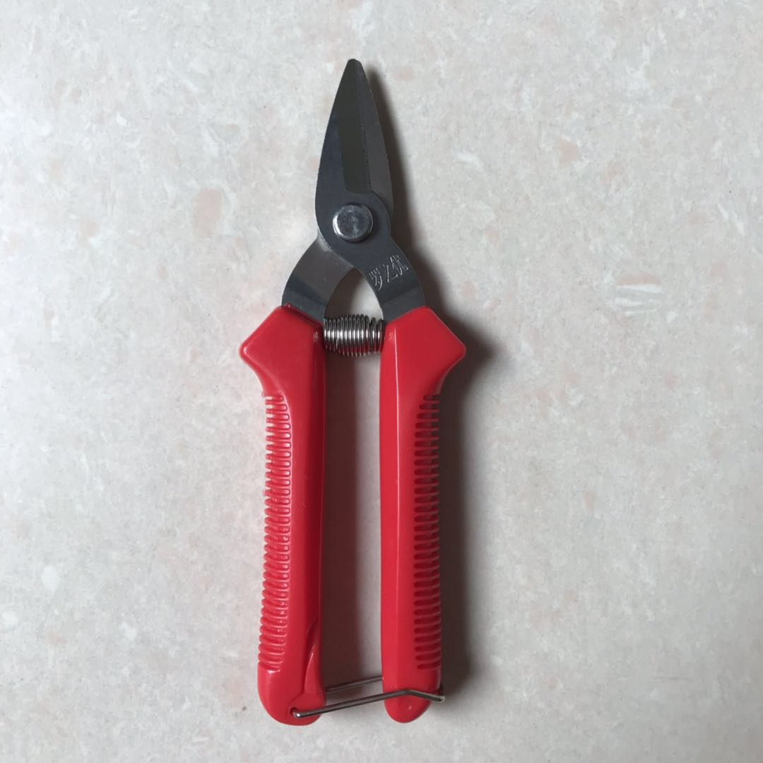 稀果剪葡萄采果剪桔子剪柑橘蔬果剪摘果剪果园果树剪采摘编藤剪刀