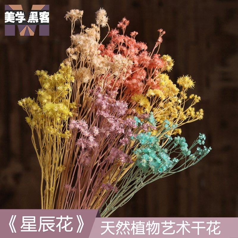 星辰花小干花复古小花束真花干花花束迷你室内田园文艺卧室内