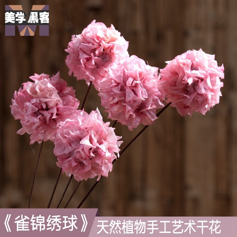 雀锦绣球干花真花干绣球花干花花束手工干花客厅卧室内家居摆设