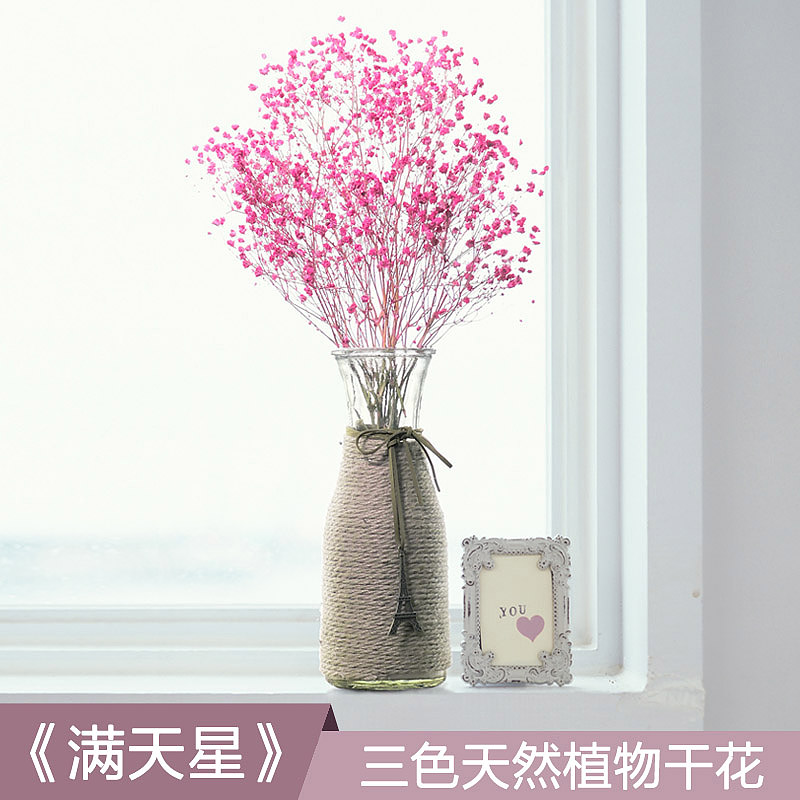 满天星干花瓶干花花束风干客厅卧室电视柜家居摆设套装生日小清新