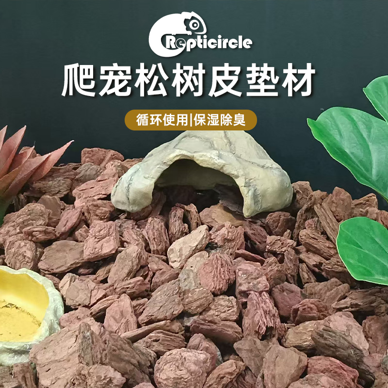 加拿大爬虫躲避躲藏洞穴