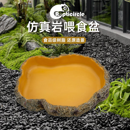 爬宠食盆水盆蜥蜴造景专用泡澡盆树蛙仿岩饲养箱造景饮水盆装饰