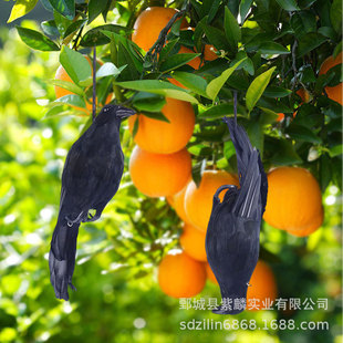 跨境仿真乌鸦道具皮毛工艺品仿真乌鸦驱鸟器万圣节摆件真羽毛乌鸦