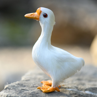 跨境热销仿真羽毛鸭子 教学道具 摄影 园林装饰家居摆件 鸭子摆件