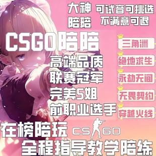 CSGO陪玩陪练代练教学技术娱乐女陪职业哥5EB5官匹