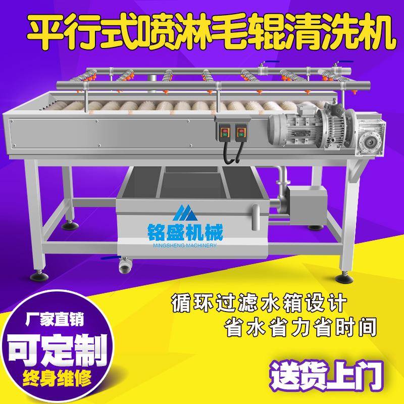 现桃ZVT货山毛清备洗机 李西梅子清洗设 全自动滚刷水萝卜清洗机