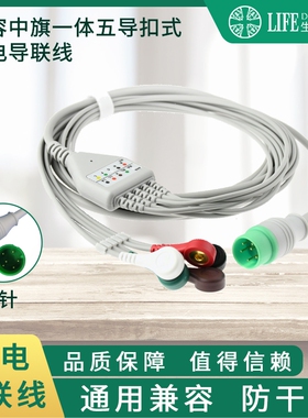 华声武汉中旗PM 7000C 7000M威高华腾监护仪大头五导心电导联线