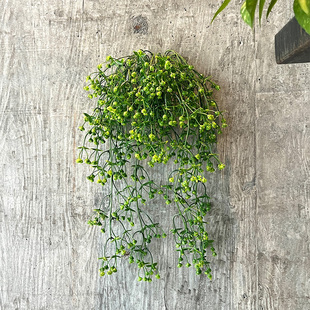 饰假花藤条缠绕 仿真满天星花藤塑料花藤蔓水管空调管道遮挡暖气装