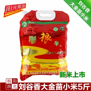 2025年新小米内蒙古天山刘谷香大金苗小米口感清香1袋5斤