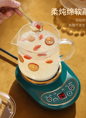 全玻璃迷你定时煲花果茶炖煮燕窝养生壶一人电热杯加热专用壶单人