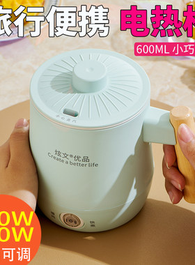 户外小号插电迷你电热烧水杯电功率车载便携旅行小型电煮杯煮奶器